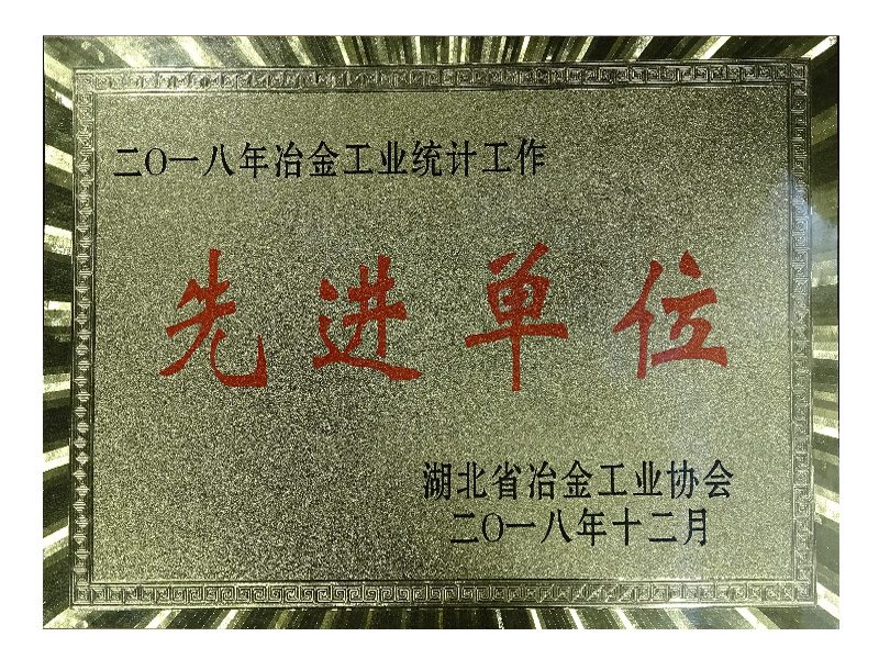 2018.12 2018冶金工業(yè)統(tǒng)計(jì)工作先進(jìn)單位